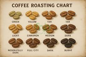 Understanding Coffee Roasting Levels: A Guide for Every Coffee Lover